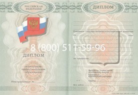 Диплом о начальном образовании  2007-2009 годов