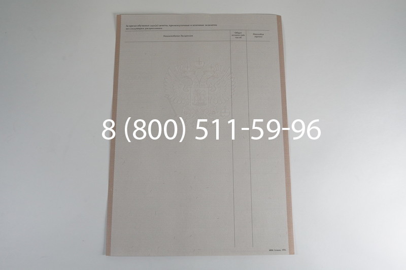 Заказать Академическая справка 1996-2009 года в Казани