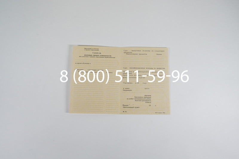Заказать Аттестат 8 классов СССР в Казани
