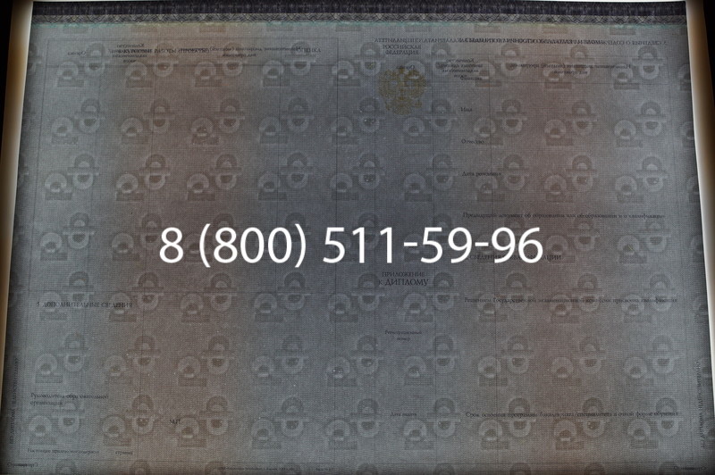 Заказать Диплом бакалавра (Киржач) 2014-2026 года в Казани