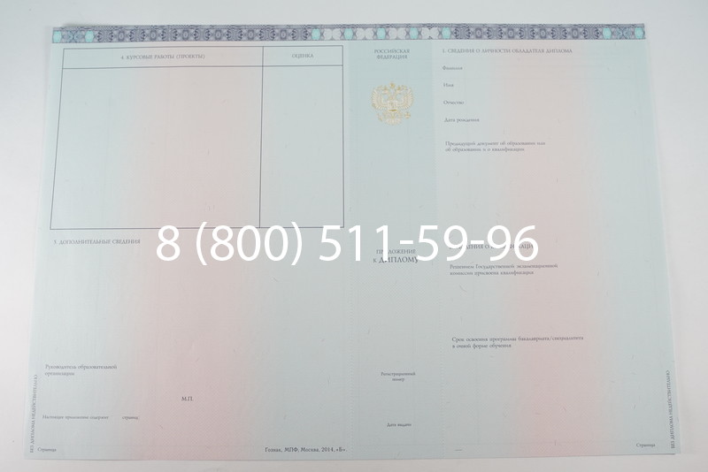 Диплом бакалавра 2014-2026 года в Казани