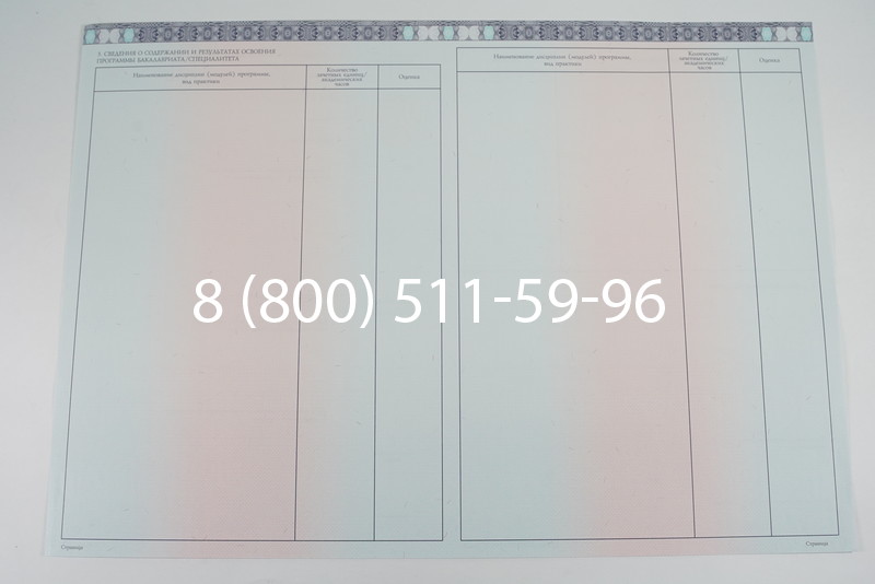 Диплом бакалавра 2014-2026 года в Казани