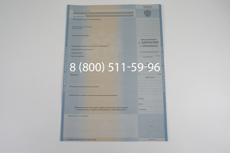 Заказать Диплом бакалавра 1997-2002 годов в Казани