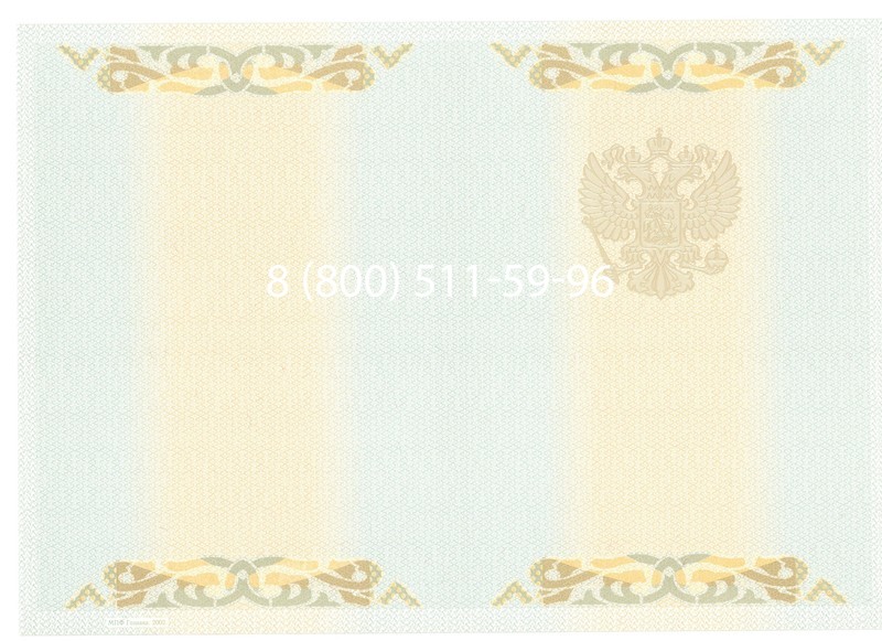 Купить Диплом бакалавра 2003-2009 годов в Казани