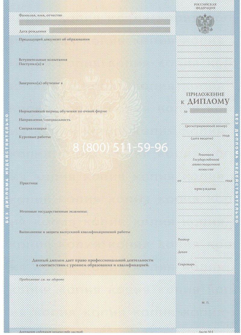 Заказать Диплом бакалавра 2003-2009 годов в Казани