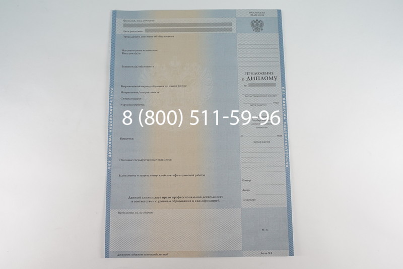 Диплом бакалавра 2003-2009 годов в Казани