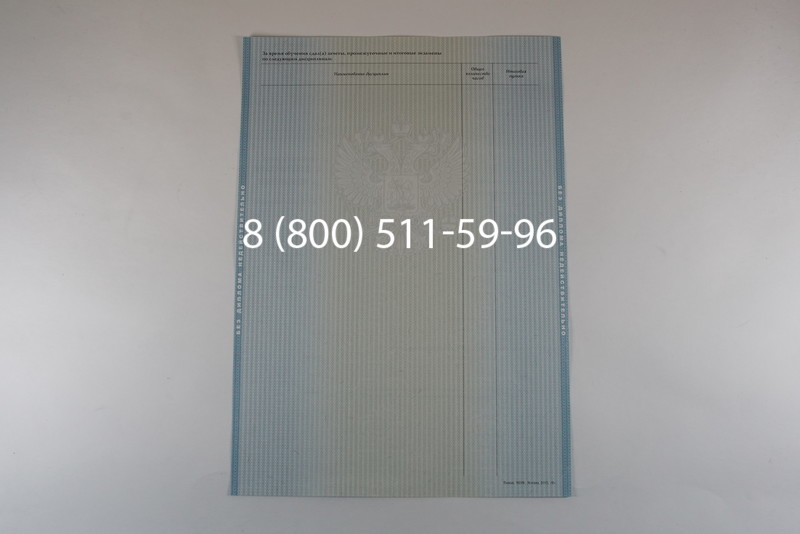 Диплом бакалавра 2012-2013 годов в Казани