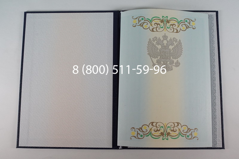 Диплом бакалавра 2012-2013 годов в Казани