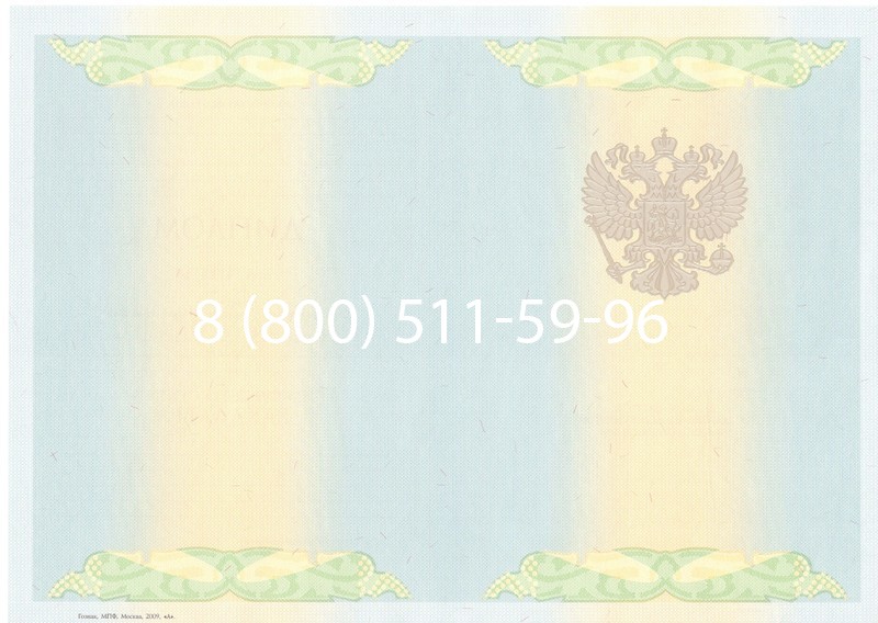 Купить Диплом бакалавра 2010-2011 годов в Казани