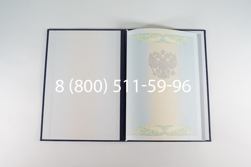 Диплом бакалавра 2010-2011 годов в Казани