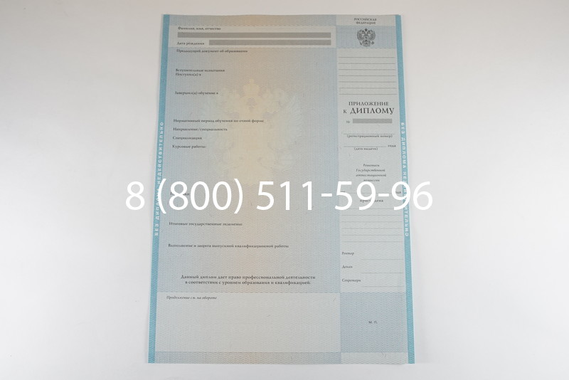 Диплом бакалавра 2010-2011 годов в Казани