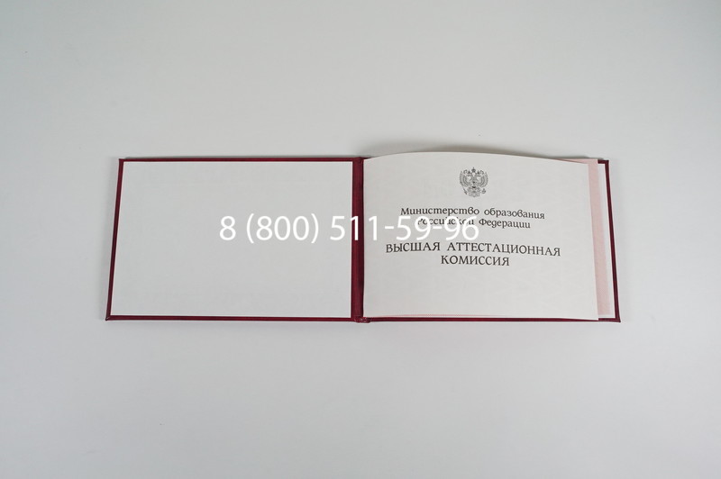 Диплом доктора наук 1995-2006 года в Казани