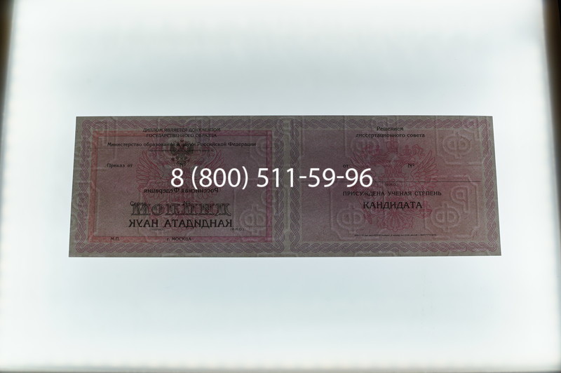 Заказать Диплом кандидата наук 2010 в Казани