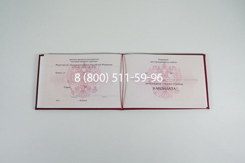 Заказать Диплом кандидата наук 2010 в Казани
