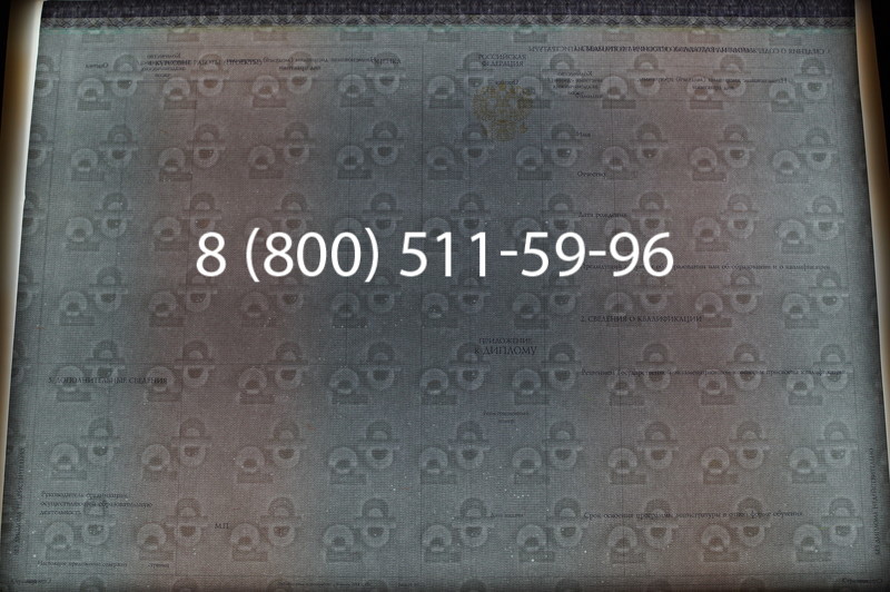 Заказать Диплом магистра (КИРЖАЧ) 2014-2026годов в Казани