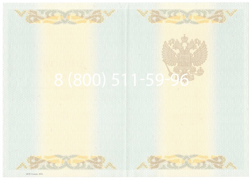 Купить Диплом магистра 2003-2009 годов в Казани