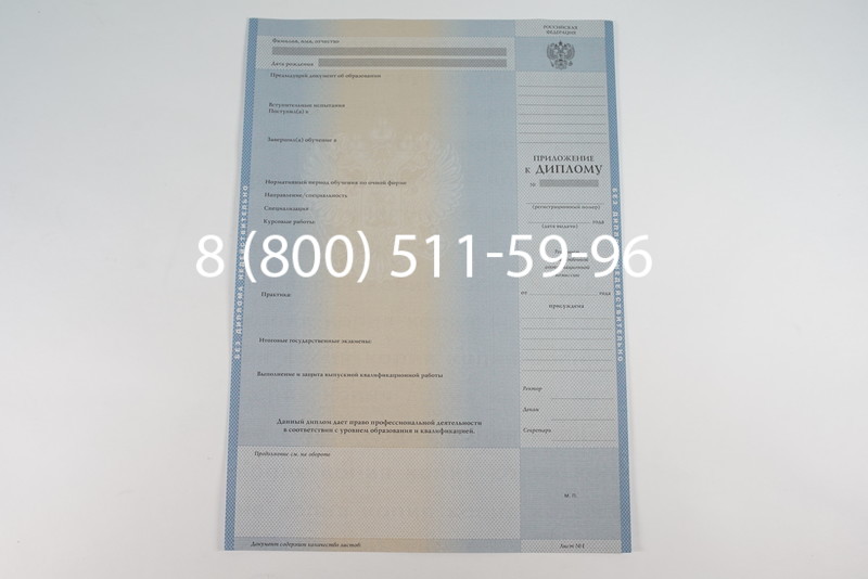 Диплом магистра 2003-2009 годов в Казани