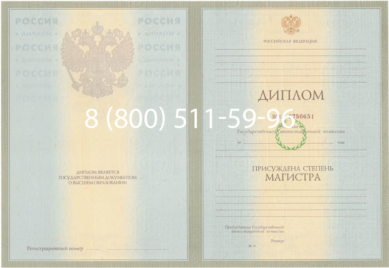 Купить Диплом магистра 2003-2009 годов в Казани