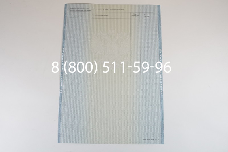 Диплом магистра 2012-2013 годов в Казани