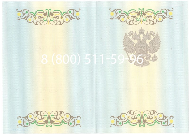 Заказать Диплом магистра 2012-2013 годов в Казани