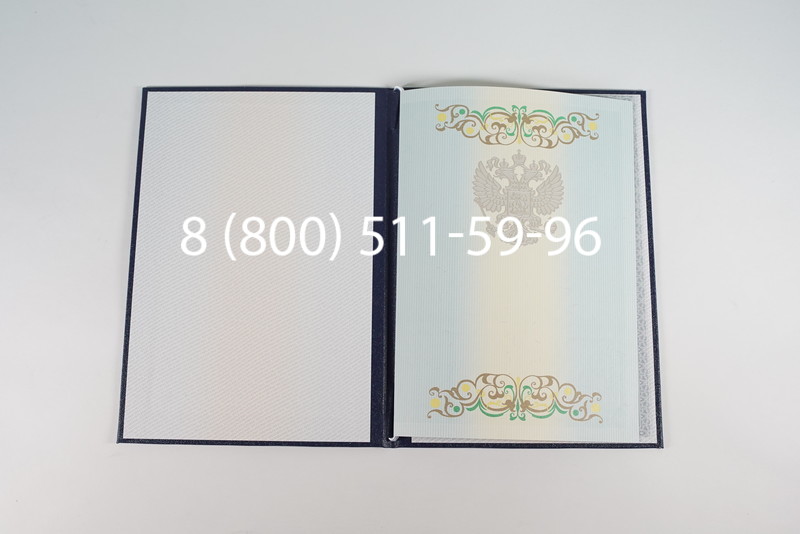 Диплом магистра 2012-2013 годов в Казани