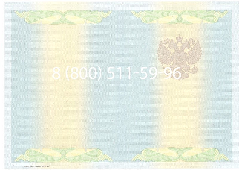 Купить Диплом магистра 2010-2011 годов в Казани