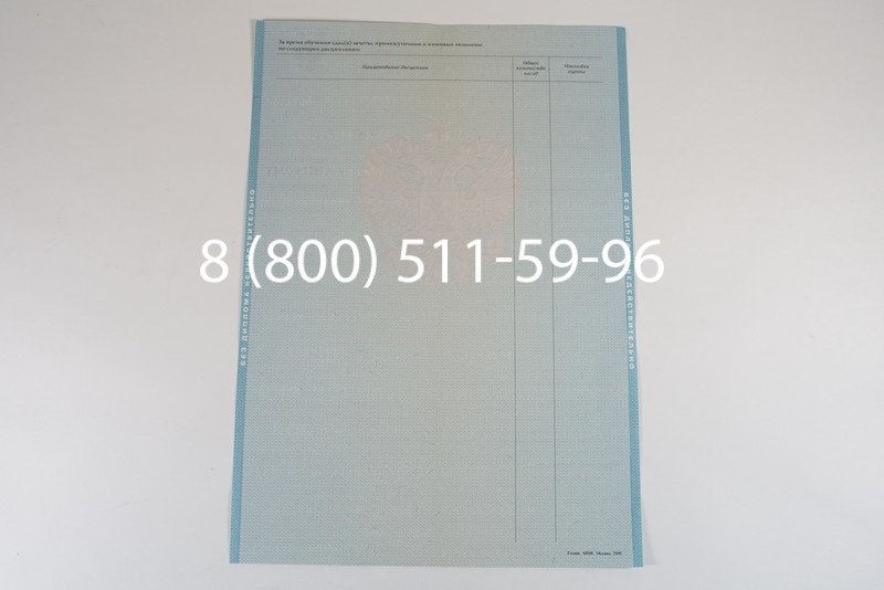 Диплом магистра 2010-2011 годов в Казани