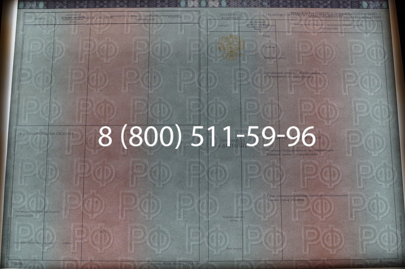 Заказать Диплом о высшем образовании 2014-2026 годов в Казани