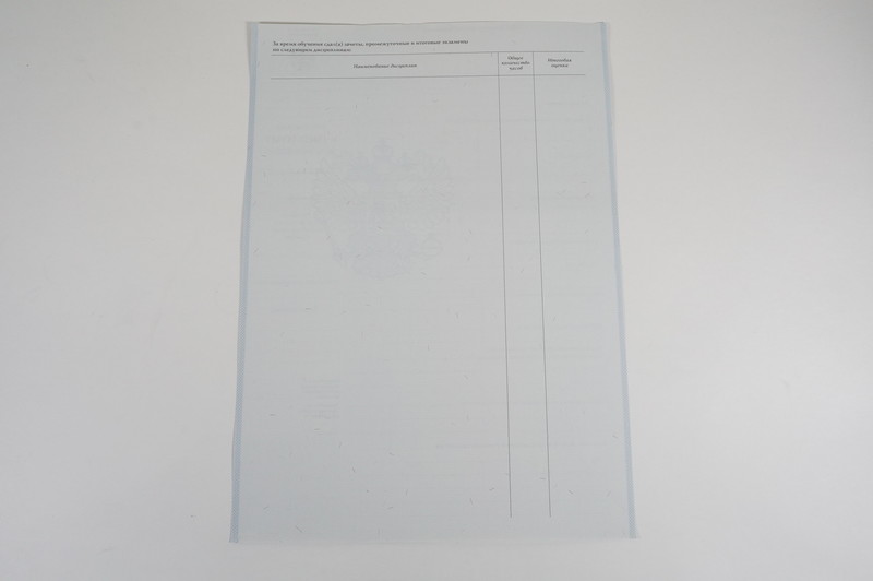 Диплом о начальном образовании  2007-2009 годов в Казани