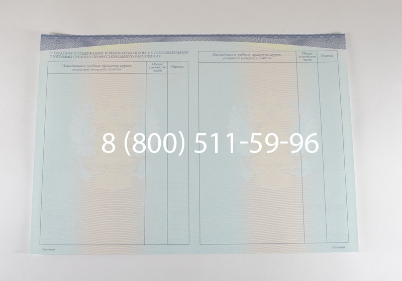 Диплом о среднем образовании (Спецбланк) 2014-2026 года в Казани