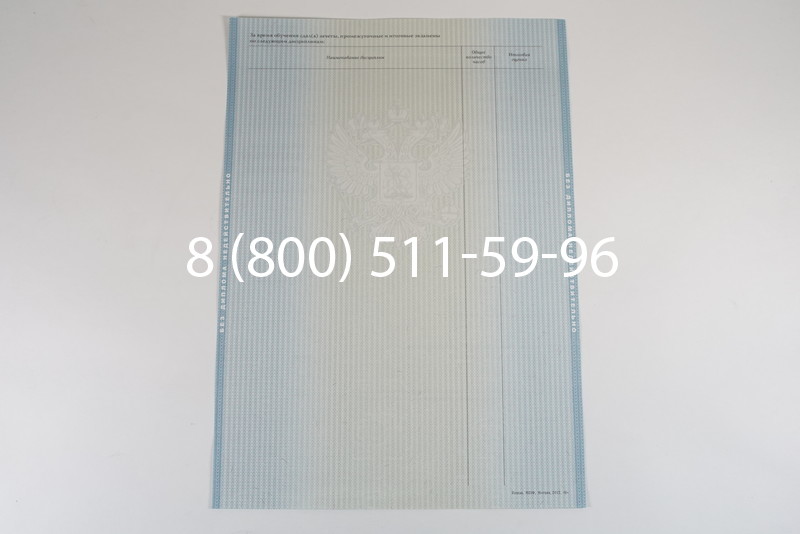 Диплом о высшем образовании 2012-2013 годов в Казани