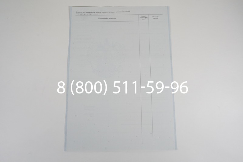 Диплом ПТУ 2007-2010 годов в Казани