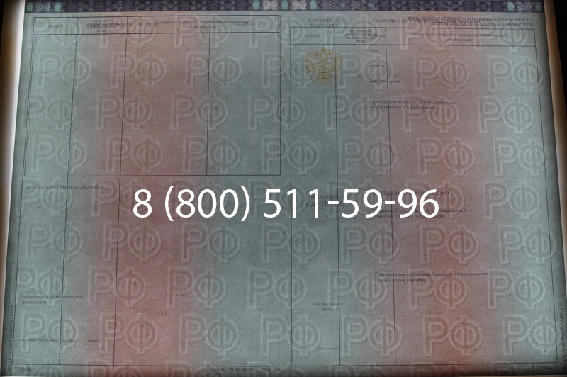 Заказать Диплом специалиста 2014-2026 года в Казани