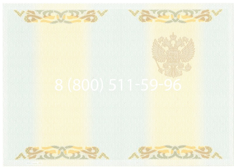 Заказать Диплом специалиста 2003-2009 годов в Казани