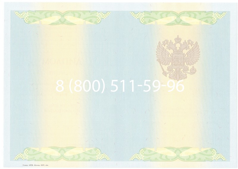 Купить Диплом специалиста 2010-2011 годов в Казани