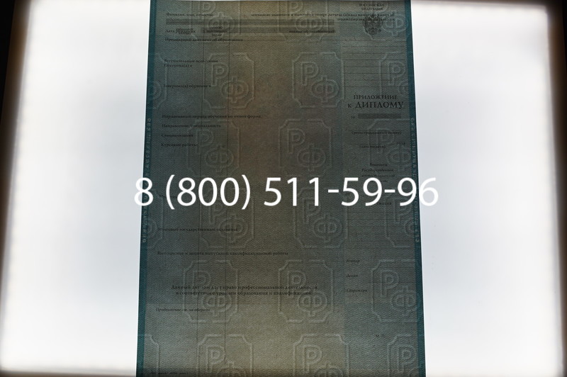 Заказать Диплом специалиста 2010-2011 годов в Казани