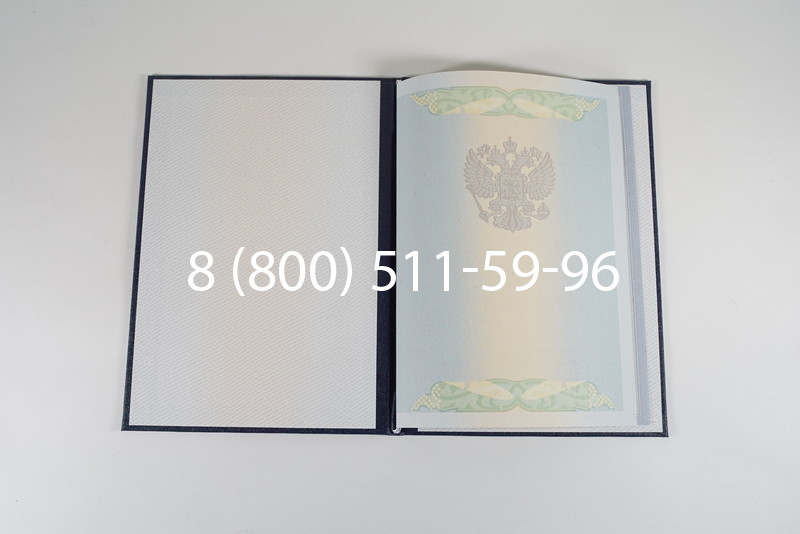 Диплом специалиста 2010-2011 годов в Казани