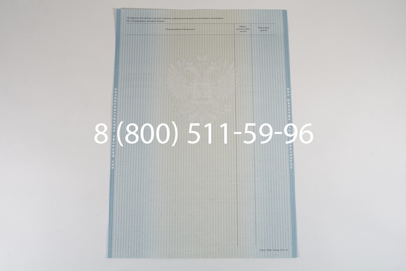 Диплом специалиста 2012-2013 годов в Казани