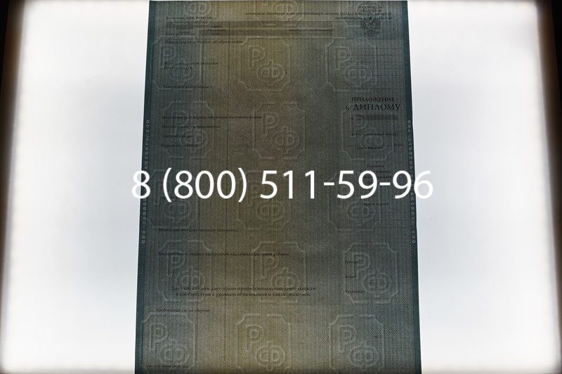 Заказать Диплом специалиста 2012-2013 годов в Казани