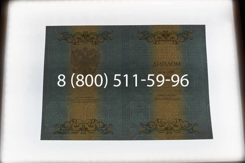 Заказать Диплом специалиста 2012-2013 годов в Казани