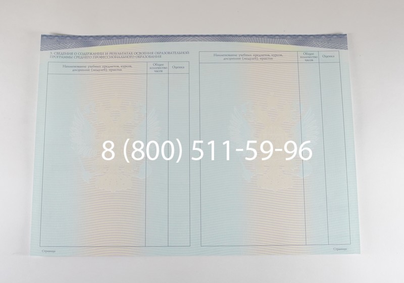 Диплом техникума (Спецбланк) 2014-2026 года в Казани