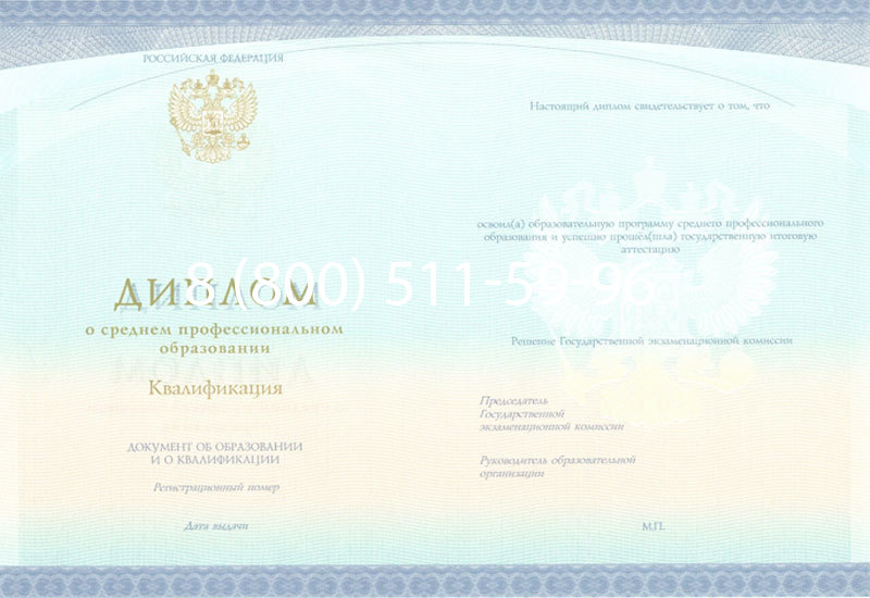 Купить Диплом техникума (Спецбланк) 2014-2026 года в Казани