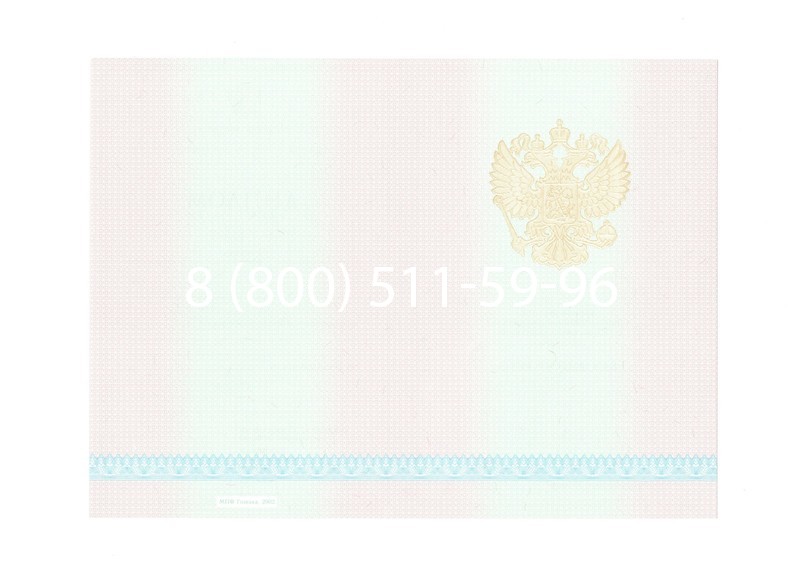 Заказать Диплом техникума 2003-2006 годов в Казани