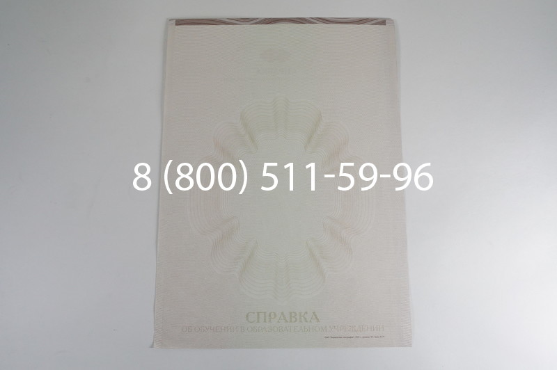 Заказать Справка об обучении в Казани