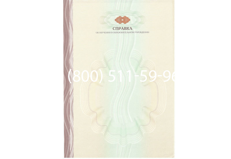 Купить Справка об обучении в Казани